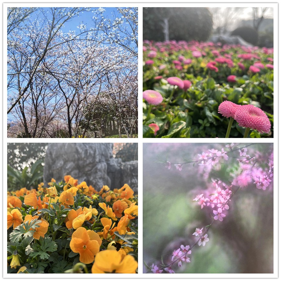 【女神节专题】一路走来一路拍——于金滢摄影集之打卡玄武湖、中山陵