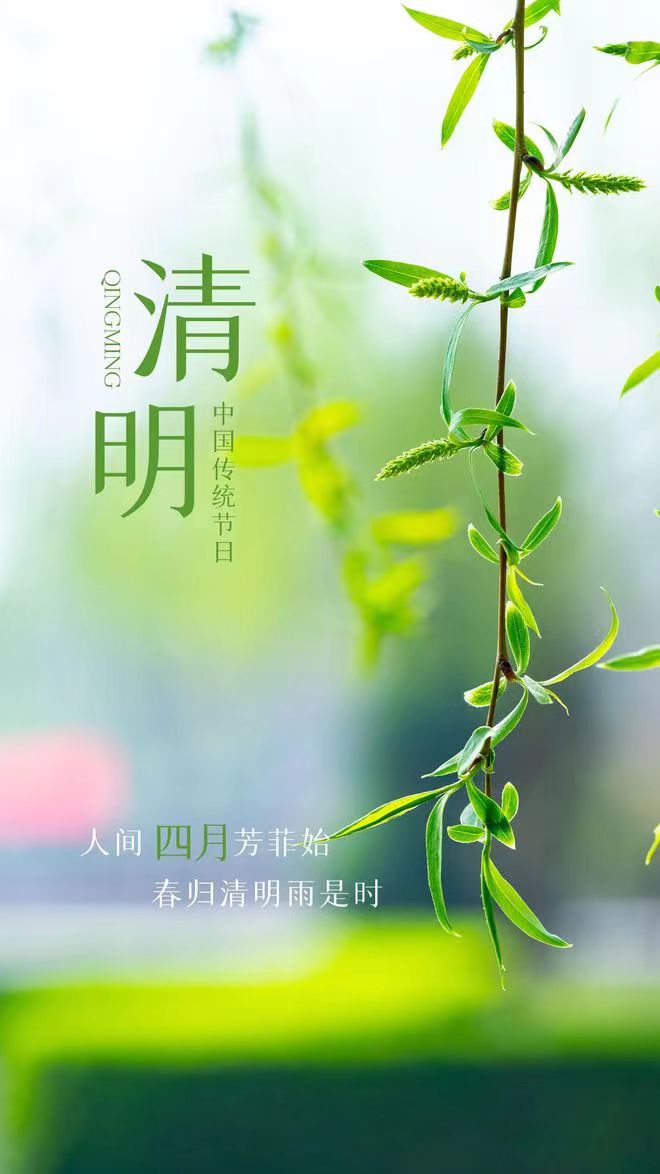 清明情  润生活