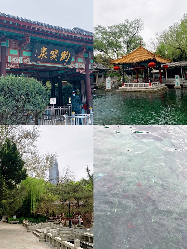 不负春日好时光