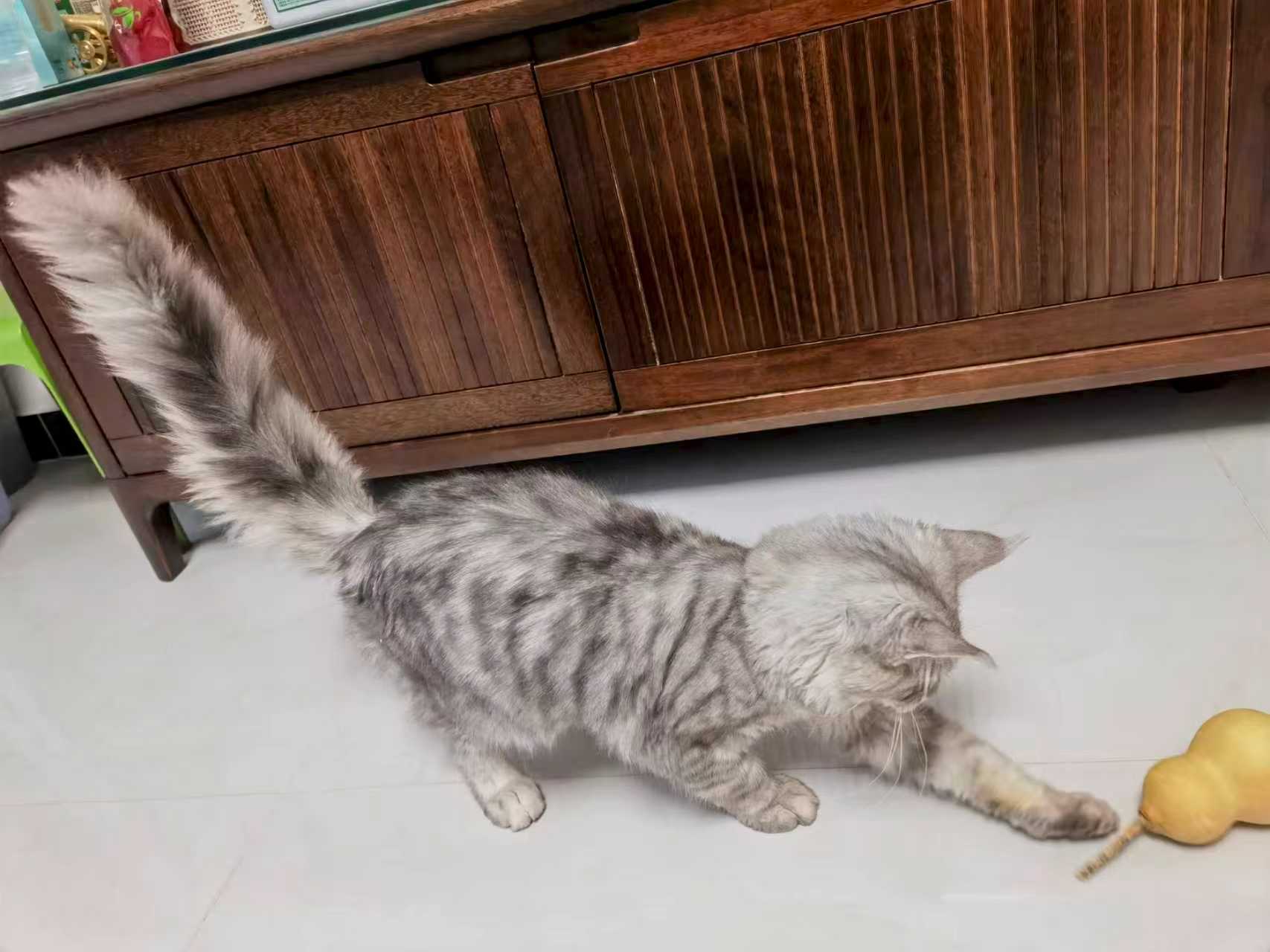 借来的时光，真实的温暖