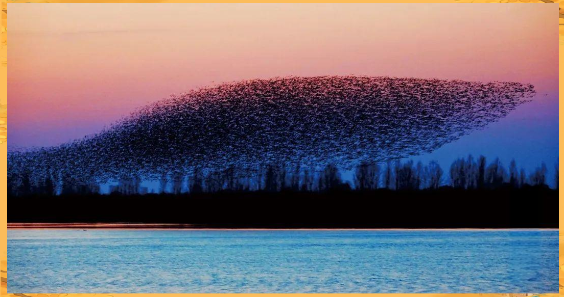 永远保留的一片北冥