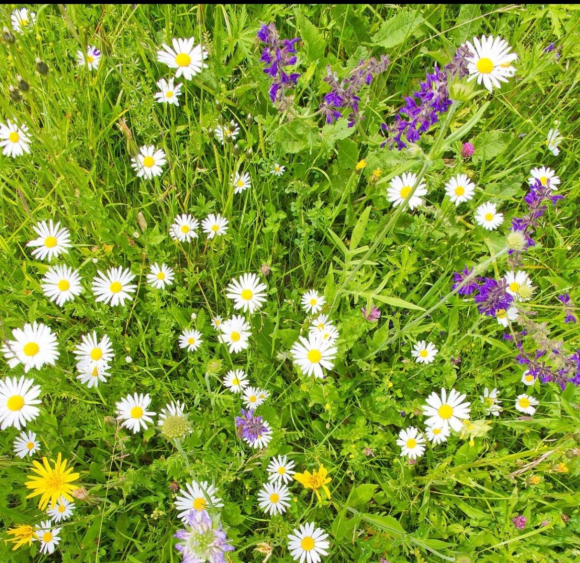 微信图片_20260403150052_386_173