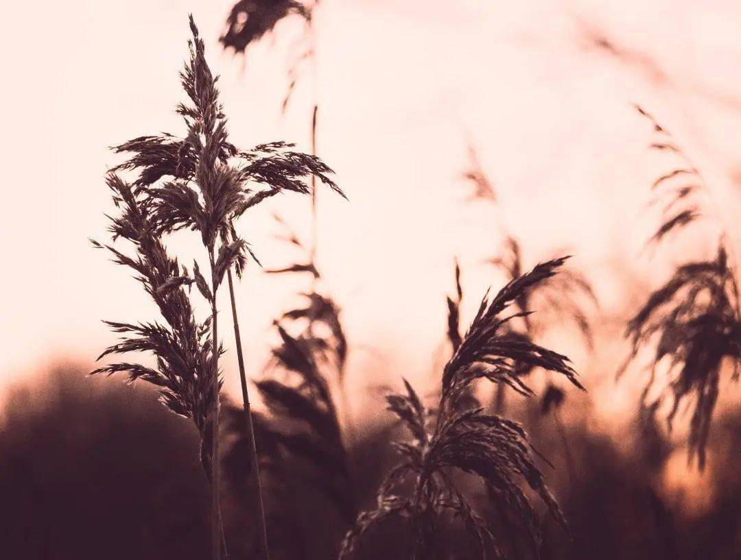 人间万事，自有节奏