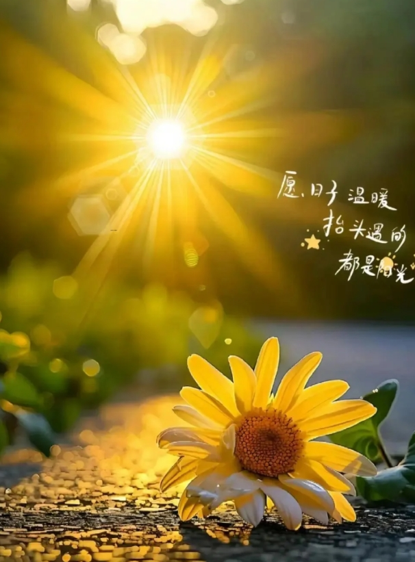 因爱而聚，因喜而欢