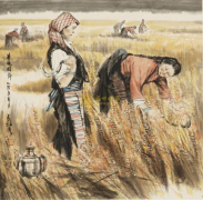 麦收的季节