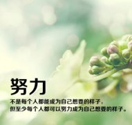 执着的心