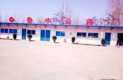 “新员工”专题专栏：刚好遇见你