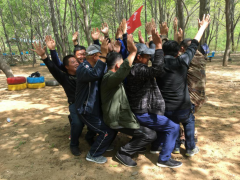 “三保一树一促”专题：走近如月湖