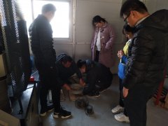 为则通达，学无止境