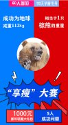 减重大赛圆满落幕